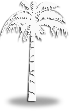 palm